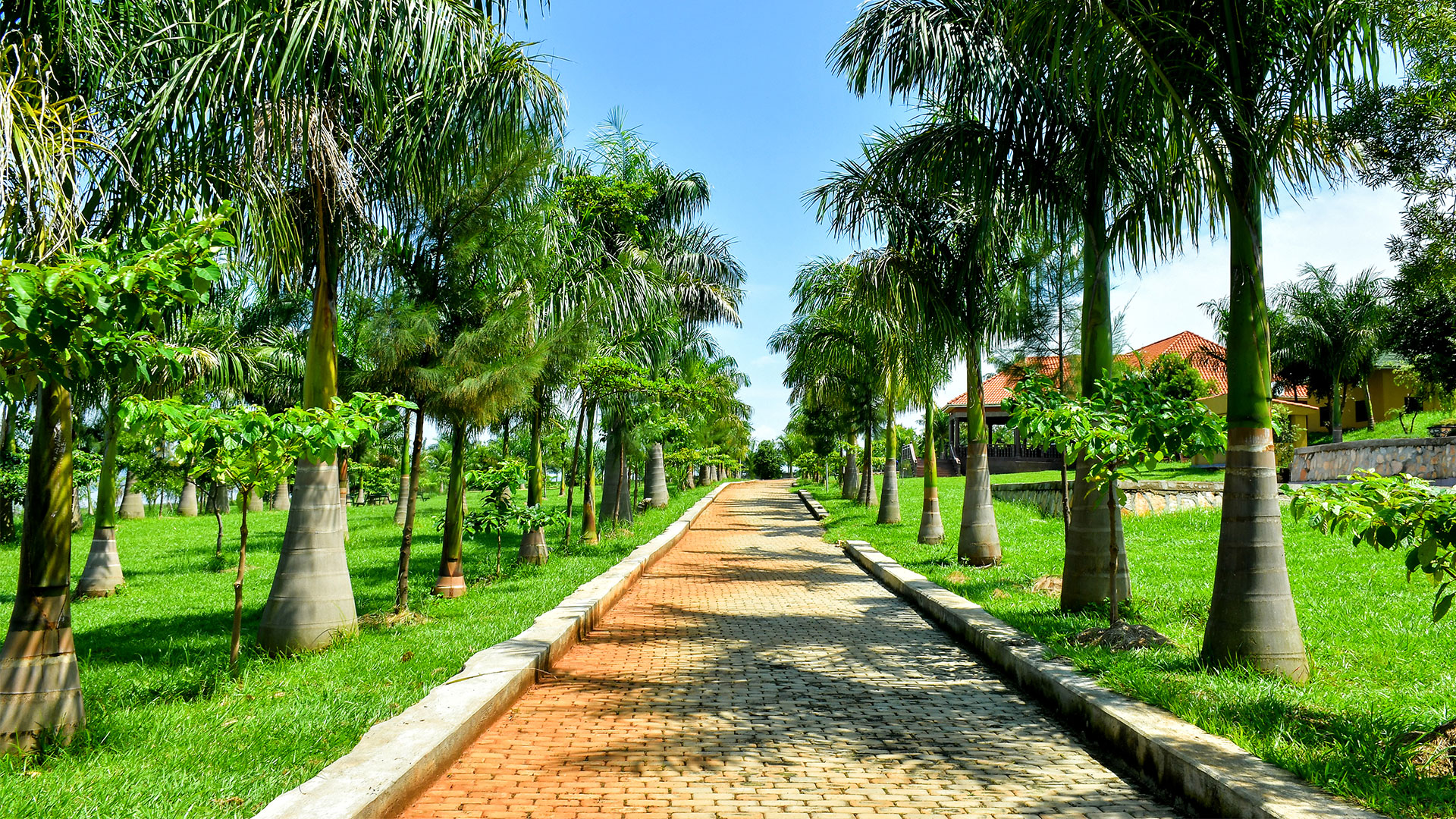 Hotels in Jinja: Lake Victoria Shores at Fancy Resort Beach Hotel